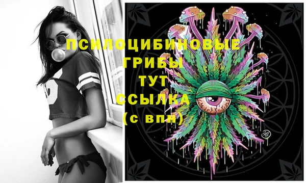 дмт Алексеевка