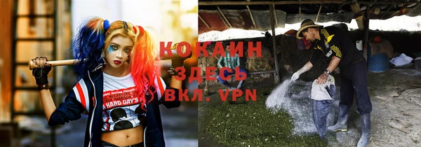 2c-b Алексин